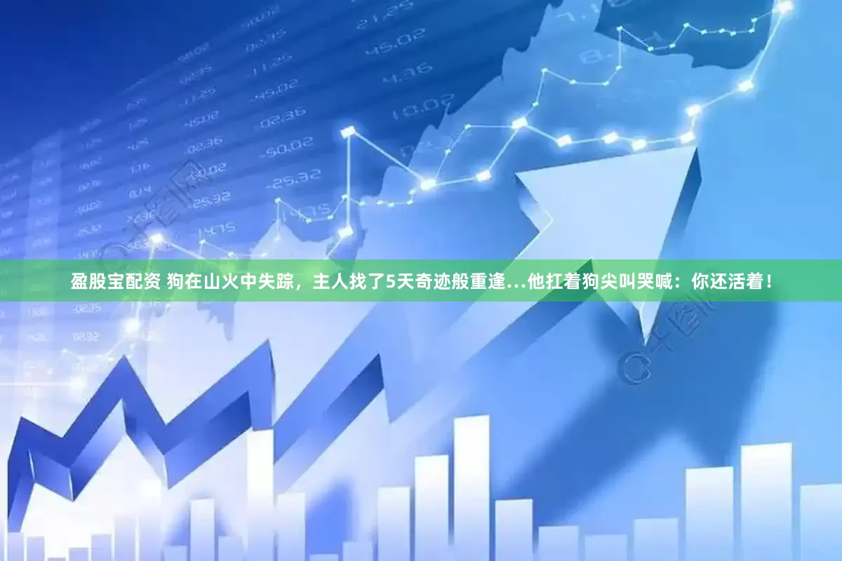 盈股宝配资 狗在山火中失踪，主人找了5天奇迹般重逢…他扛着狗尖叫哭喊：你还活着！