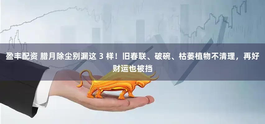 盈丰配资 腊月除尘别漏这 3 样！旧春联、破碗、枯萎植物不清理，再好财运也被挡
